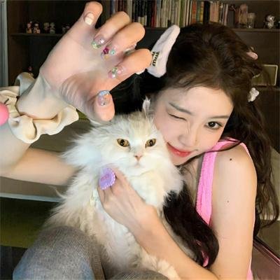 中华英雄之中华傲诀国语